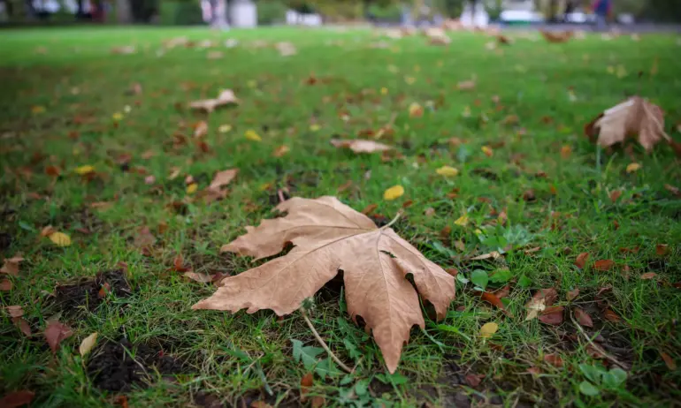 Захладнява и на места ще превали - Tribune.bg