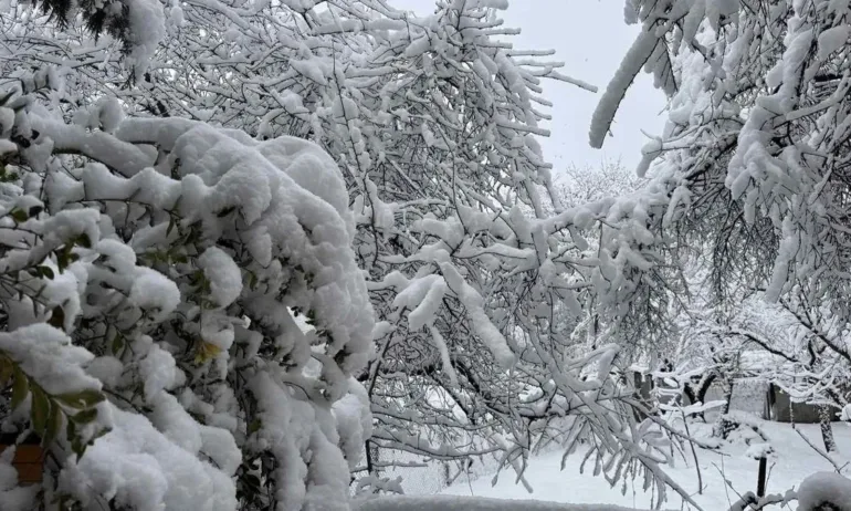 Бази и хижи в Осоговската планина останаха без ток, осигурени са им генератори - Tribune.bg