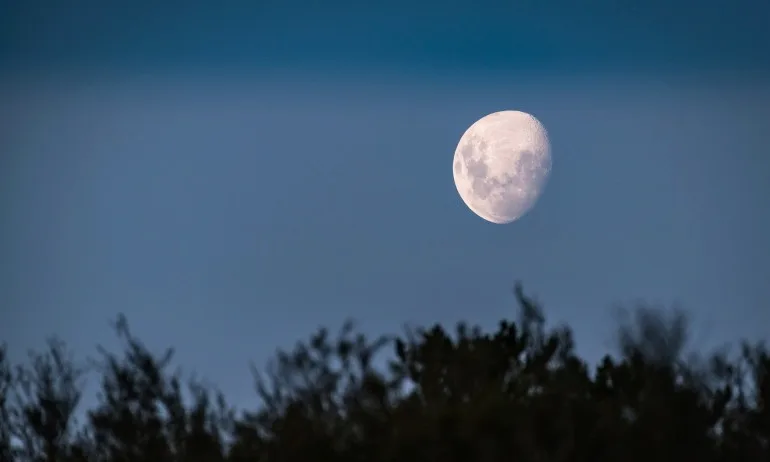 Освещаване на пътя в тъмнината – лунен ритуал - Tribune.bg