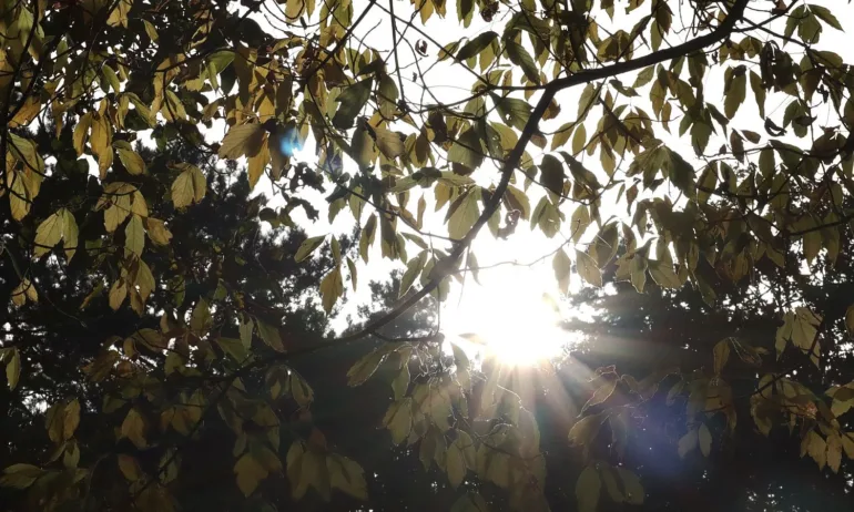 Седмицата започва с топло време, температурите ще стигнат до 18 градуса - Tribune.bg