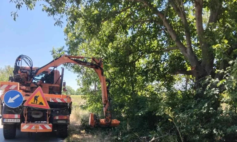 Нанков: От няколко седмици е възобновено пътното поддържане и активно се отстранява прораслата растителност - Tribune.bg