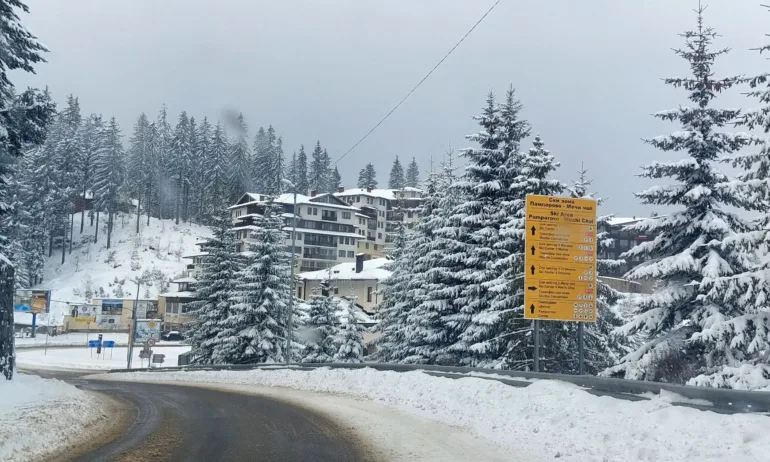 Дъжд затвори част от пистите на Пампорово - Tribune.bg