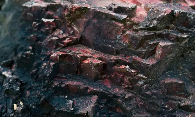 Загинал и ранени в мина в Полша - Tribune.bg