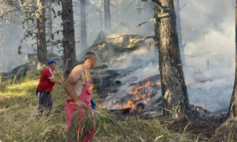 Пожар гори в национален парк Рила - Tribune.bg