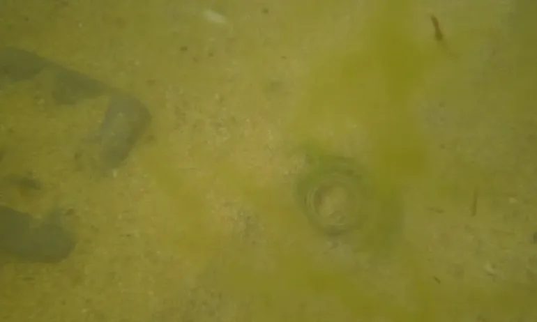 Нов сигнал за метален предмет в района на къмпинг на северното ни Черноморие - Tribune.bg