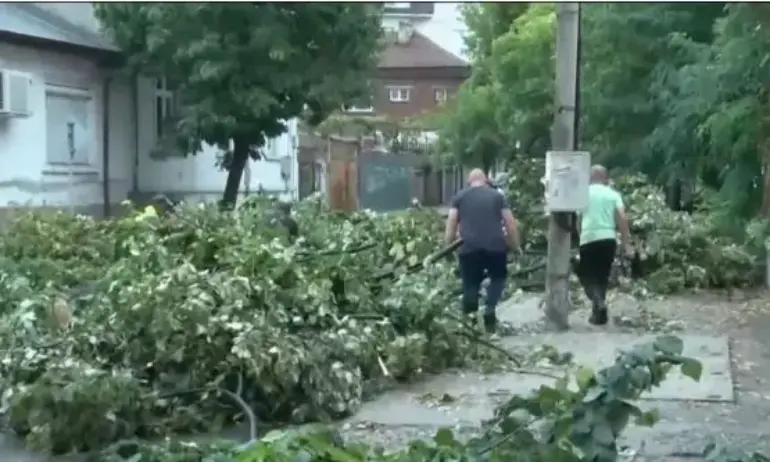 Буря събори дървета и наводни улици в Хасково - Tribune.bg