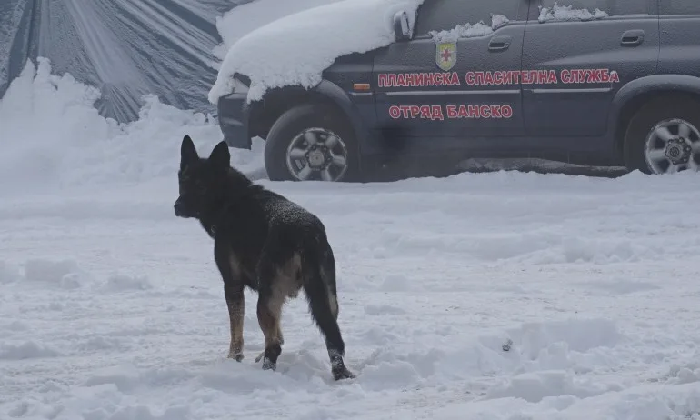Спасиха затрупан от лавина руснак в Пирин - Tribune.bg