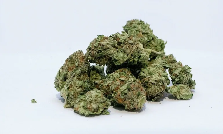 Столичанин поръча марихуана с пратка от САЩ, хванаха я на Летище София - Tribune.bg