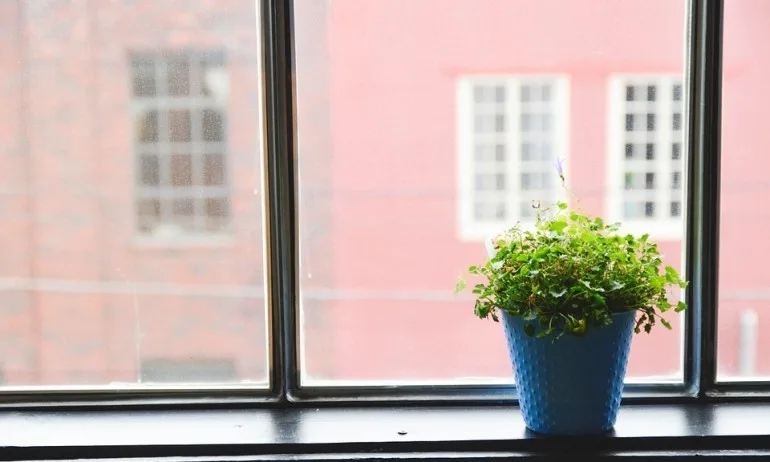 Проветряването на стаите снижава риска от зараза с новия коронавирус - Tribune.bg