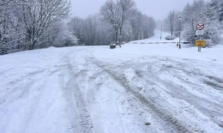 Зимна обстановка: Сняг и заледени пътища затрудниха движението в страната - Tribune.bg