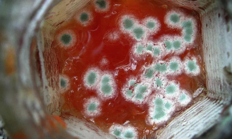 Затвориха хотел в Турция заради разследване за отравяне с храна, причинило смъртта на жена и двете ѝ деца - Tribune.bg