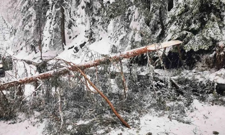 Затвориха прохода Петрохан - Tribune.bg