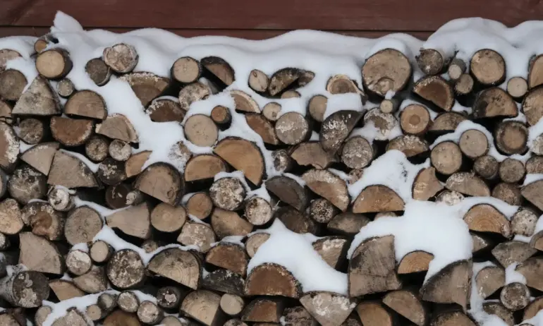 Студ сковава Европа: Хиляди домакинства на тъмно и проблеми с полети - Tribune.bg