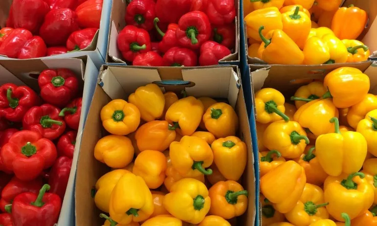 БАБХ хвана внос на над 512 тона плодове и зеленчуци с пестициди от трети страни - Tribune.bg