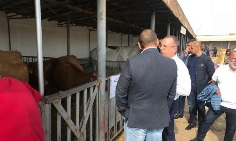 Държавата ще поеме 50% от разходите на малките мандри и кланици - Tribune.bg