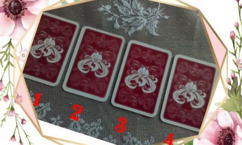 Изтеглете си карта - тест - Tribune.bg