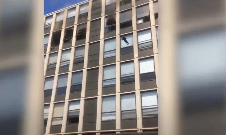 Котка оцеля без драскотина след скок от петия етаж на горяща сграда в Чикаго - Tribune.bg