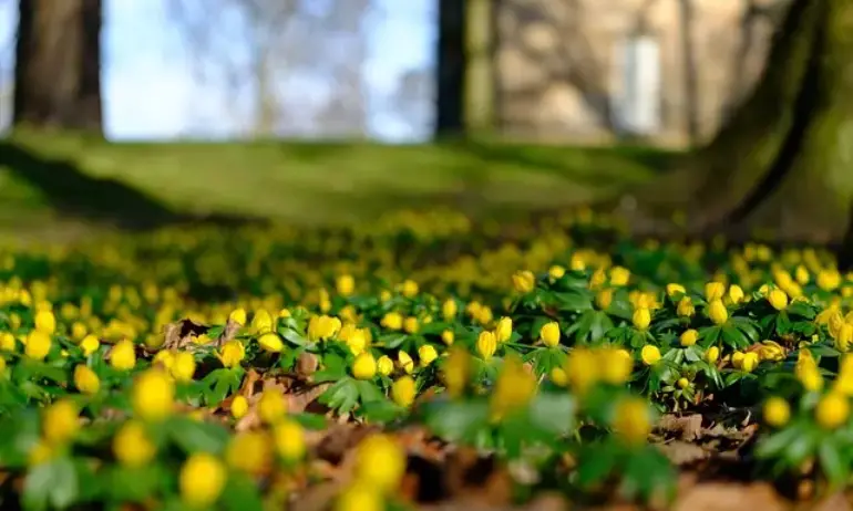 Слънце и високи температури в петък - Tribune.bg