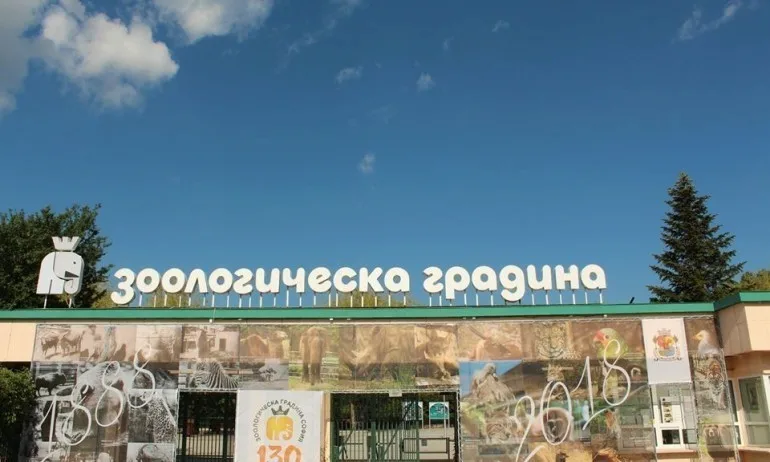 Напусна ни д-р Иван Иванов - дългогодишен директор на Зоологическа градина-София - Tribune.bg