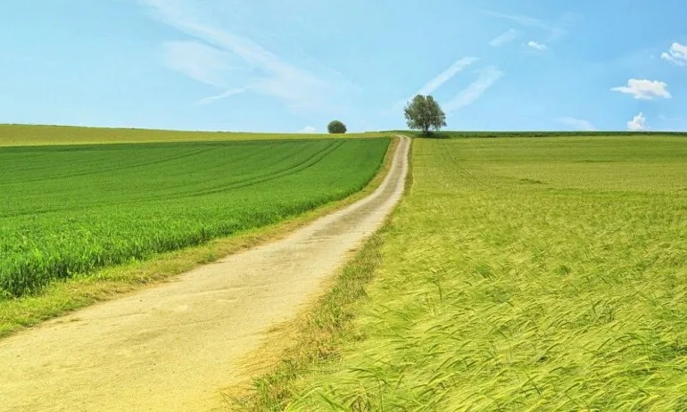 Земеделски земи, собственост на държавни и общински училища, ще са обект на сделки от 2022 г. - Tribune.bg