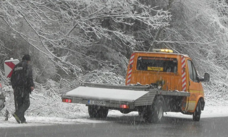 Автобус и ТИР се блъснаха във великотърновско, трима загинаха - Tribune.bg