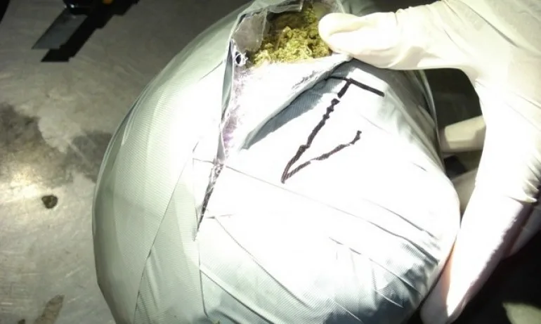 Осуетиха опит за трафик на 6,5 кг марихуана в района на ГКПП Дунав мост 2 - Tribune.bg