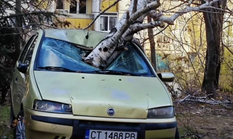 Ураганен вятър преобърна ТИР край Сливен, в Стара Загора събори 13 дървета и светофар - Tribune.bg