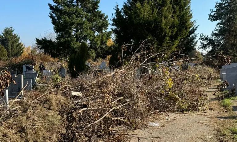 На Задушница: Софийски гробища се оказаха занемарени и непроходими на места - Tribune.bg