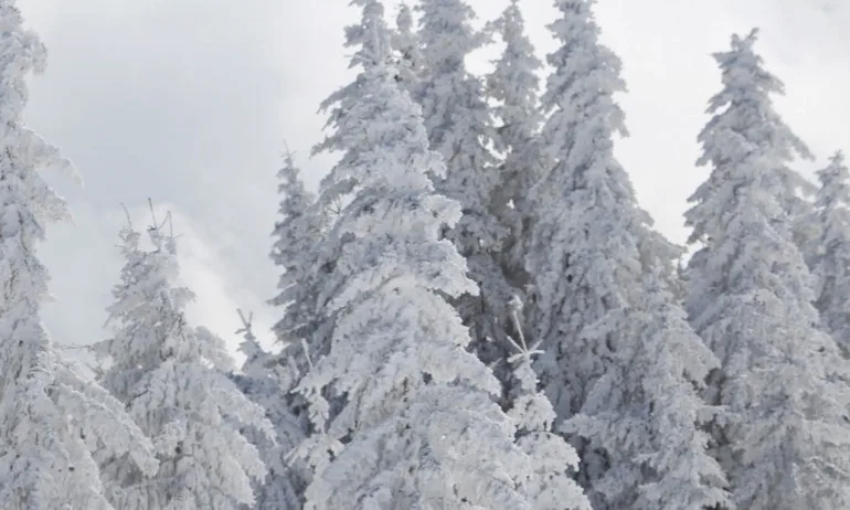 Като за първа пролет: България е покрита от снежна пелена - Tribune.bg