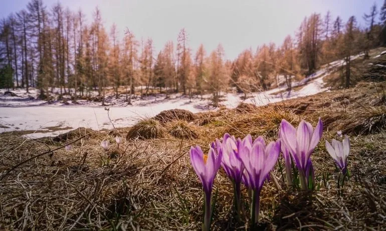 2020-а изравни рекорда за най-топла година на 2016-а - Tribune.bg
