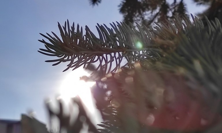 Затопляне през новата седмица - Tribune.bg