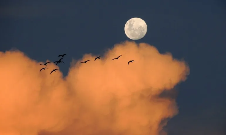 Влиянието на Луната - Tribune.bg