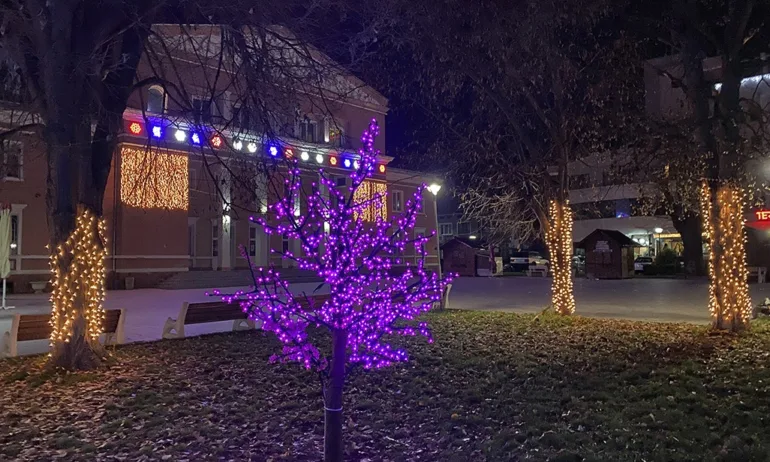 В Луковит грейна коледната украса - Tribune.bg