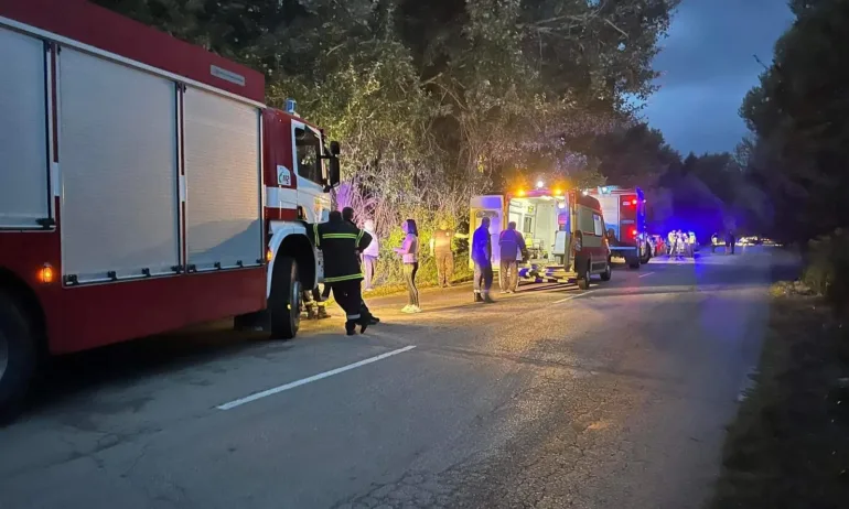 Двама тийнейджъри загинаха в катастрофа край Стражица, други двама са тежко ранени - Tribune.bg