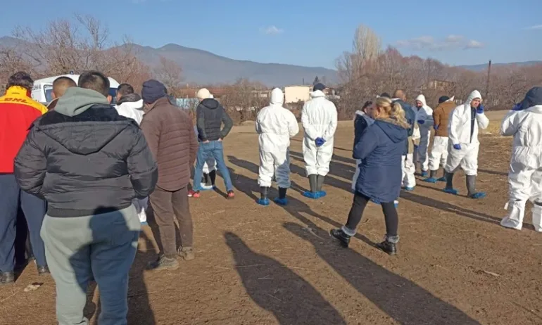 Откриха огнище на шарка по животни в Сливенско - Tribune.bg