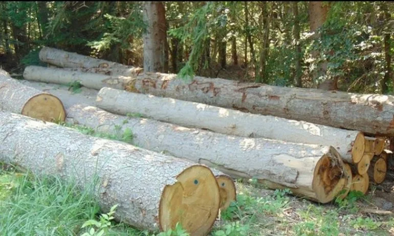 Двама горски са в болница след нападение от нарушители - Tribune.bg