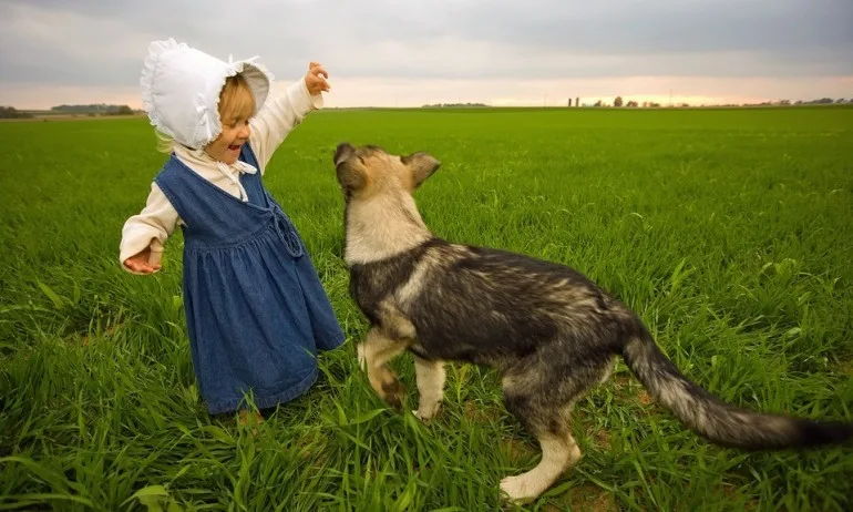 Собствениците на кучета са по-щастливи от собствениците на котки - Tribune.bg