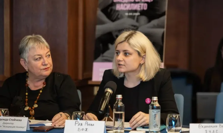 НПО-та и ЛГБТ организации настояват за Закон срещу домашното насилие - Tribune.bg