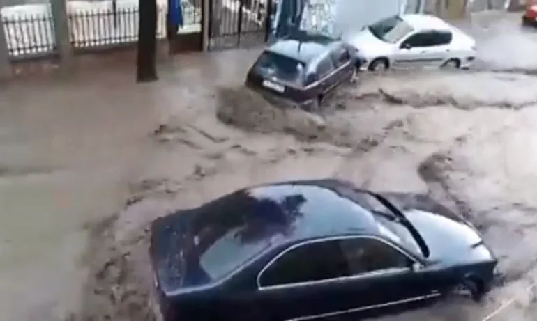 Порой заля Бургаско - Tribune.bg