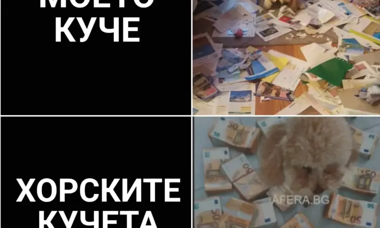 Председателката на младежкото ДБ се подиграва: Голдънът Сърбина заличава следите на пудела - Tribune.bg