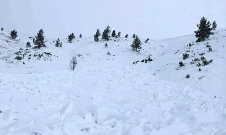 Лавина падна в Осоговската планина - Tribune.bg