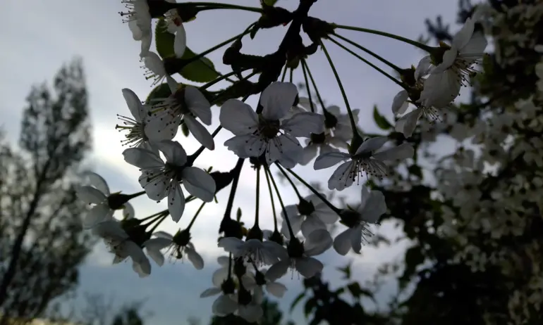 Слънчево време с краткотрайни валежи - Tribune.bg