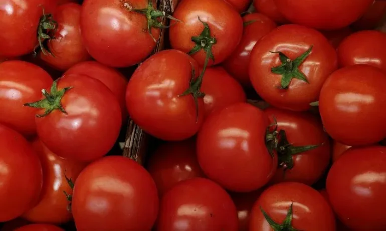 Спада производството на зеленчуци у нас - Tribune.bg