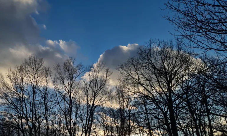 Новата седмица започва с валежи и вятър - Tribune.bg