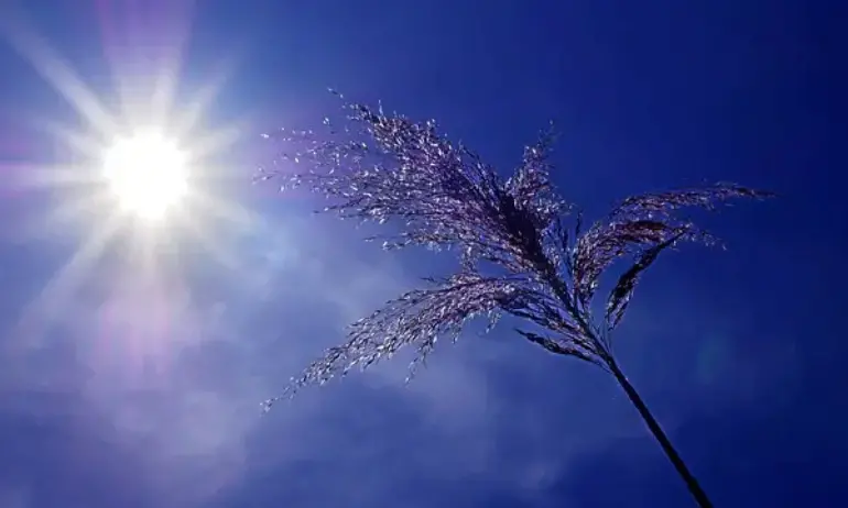 Край на валежите: Слънчева и гореща събота - Tribune.bg