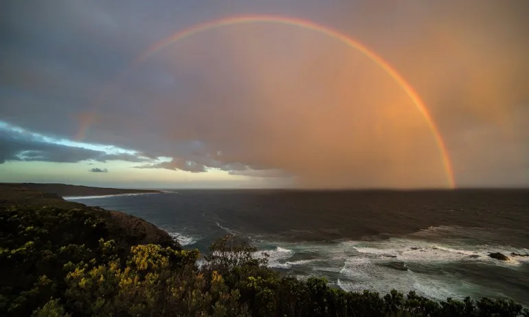 Небесната дъга - Tribune.bg