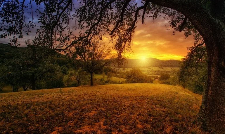 Ноември започва с топло време - Tribune.bg