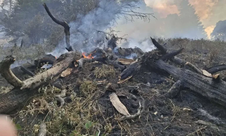 Продължава борбата с пожарите в Рила и в Пирин - Tribune.bg