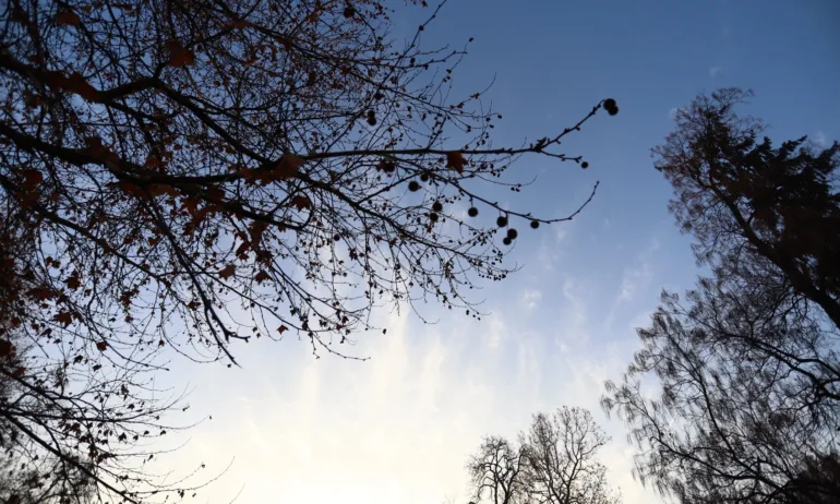 Предимно облачно с температури до 12 градуса - Tribune.bg