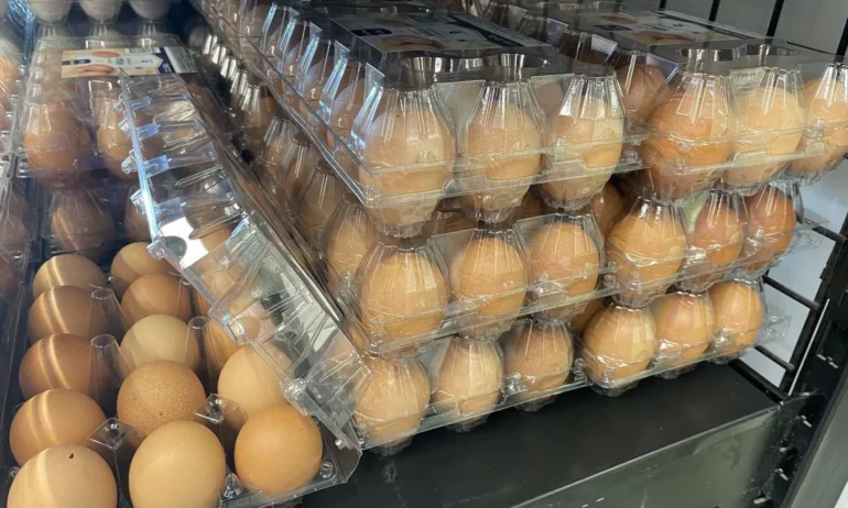 Индексът на тържищните цени спада с 2,18% за седмица, яйцата – поскъпват преди Великден - Tribune.bg